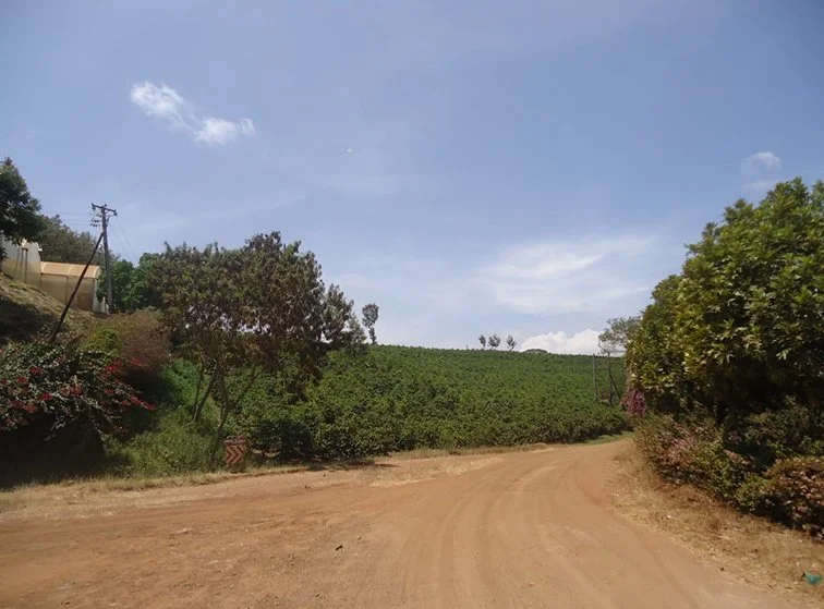 SQ-FT-PROJECTS-PAGE-OTHER-PROJECTS-THIKA-1